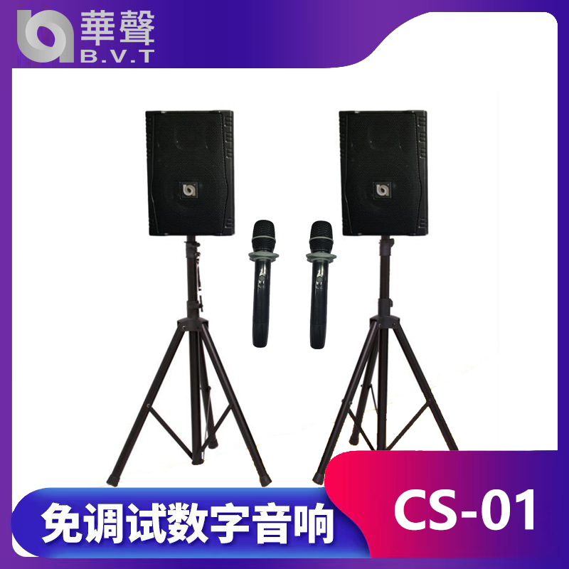 CS-01 免调试数字音响系统